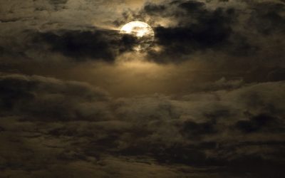 Did God Create Evil?