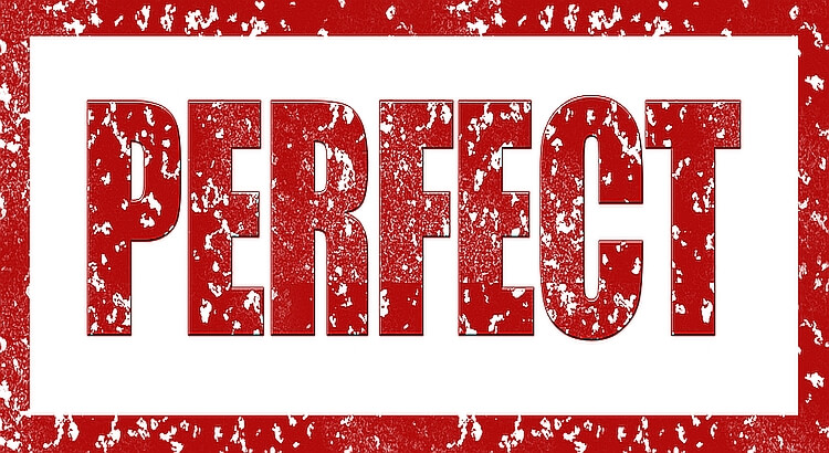 Can Anyone Be Perfect?