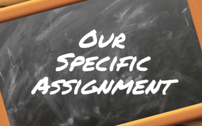 Our Specific Assignment – What Is It?