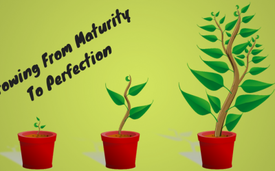 Growing From Maturity To Perfection