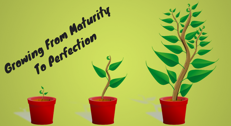 Growing From Maturity To Perfection