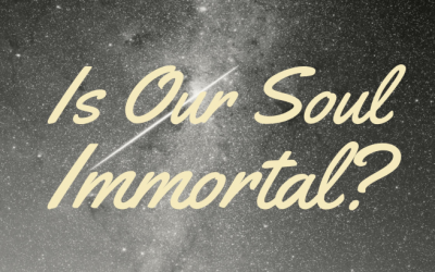 Is Our Soul Immortal?